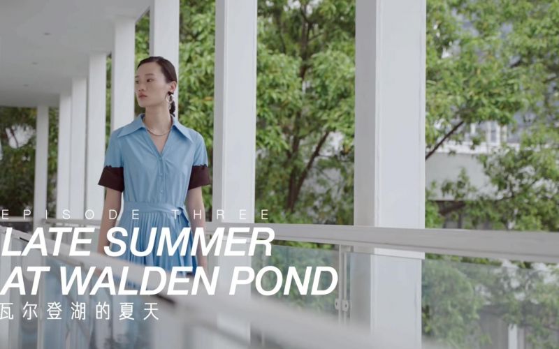 IDPAN 2022SUMMER FILM || 瓦尔登湖的夏天
